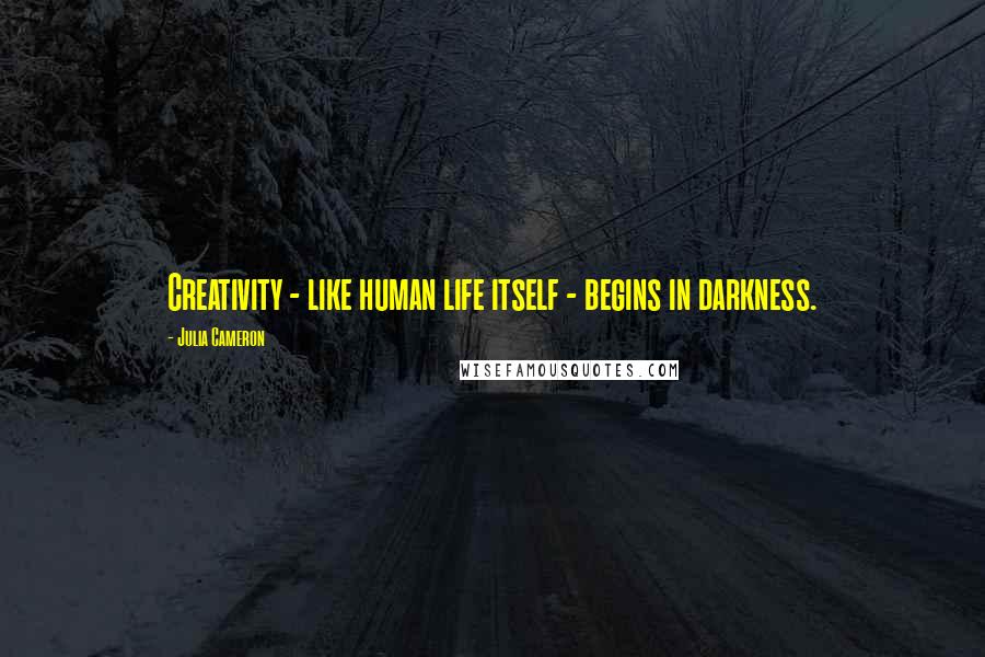 Julia Cameron Quotes: Creativity - like human life itself - begins in darkness.