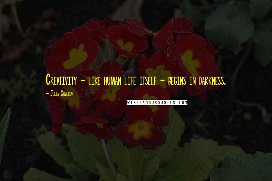 Julia Cameron Quotes: Creativity - like human life itself - begins in darkness.