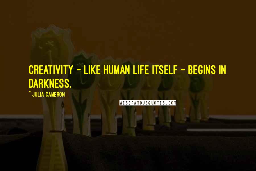 Julia Cameron Quotes: Creativity - like human life itself - begins in darkness.