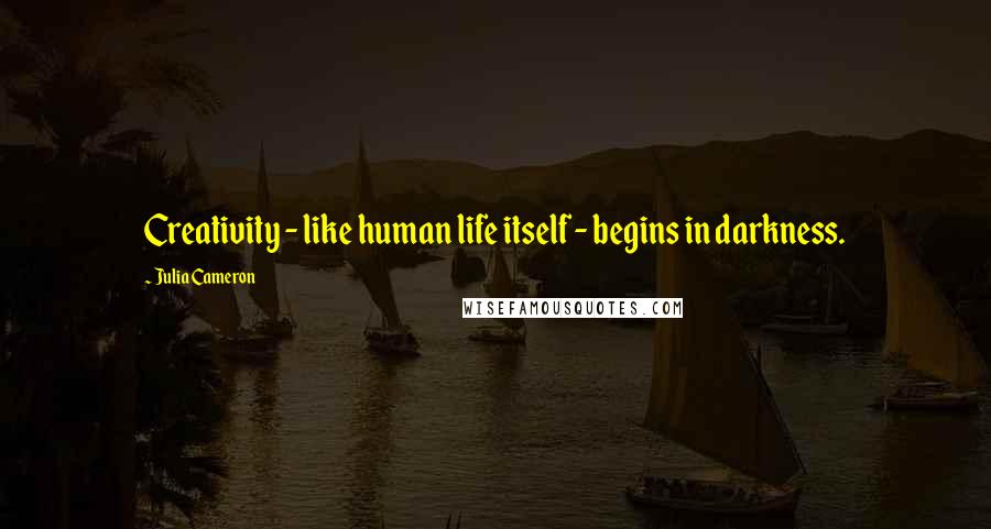 Julia Cameron Quotes: Creativity - like human life itself - begins in darkness.