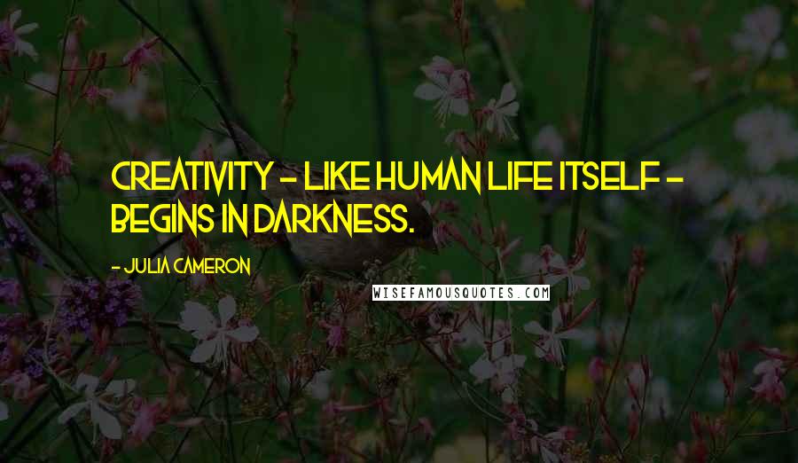 Julia Cameron Quotes: Creativity - like human life itself - begins in darkness.