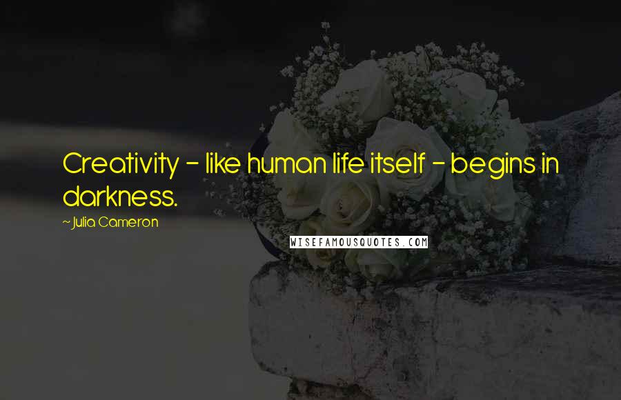 Julia Cameron Quotes: Creativity - like human life itself - begins in darkness.