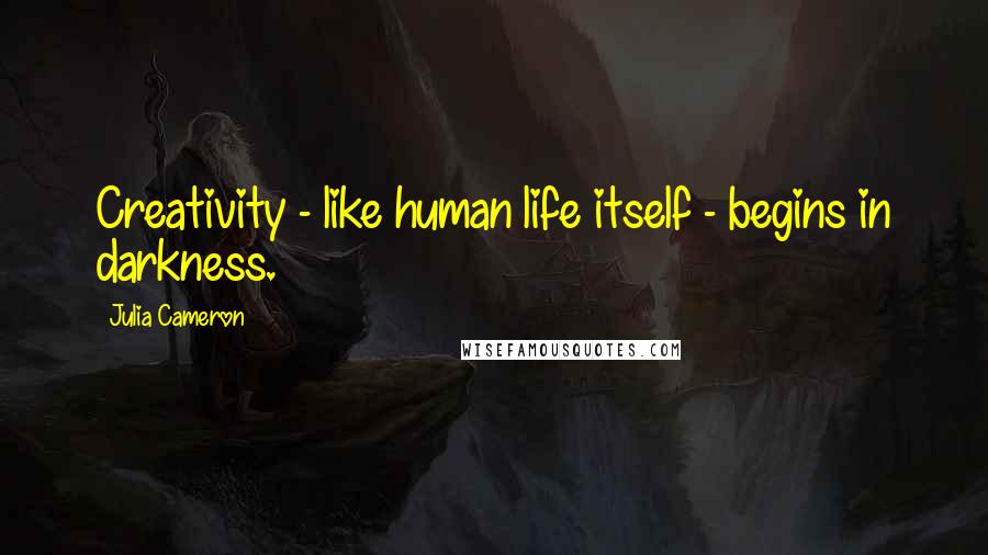 Julia Cameron Quotes: Creativity - like human life itself - begins in darkness.