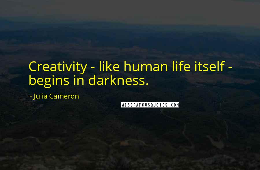 Julia Cameron Quotes: Creativity - like human life itself - begins in darkness.