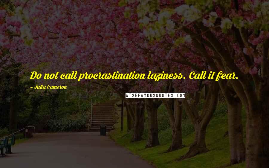 Julia Cameron Quotes: Do not call procrastination laziness. Call it fear.