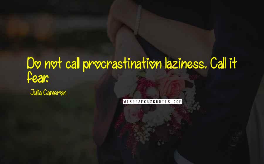 Julia Cameron Quotes: Do not call procrastination laziness. Call it fear.