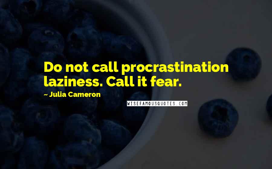 Julia Cameron Quotes: Do not call procrastination laziness. Call it fear.