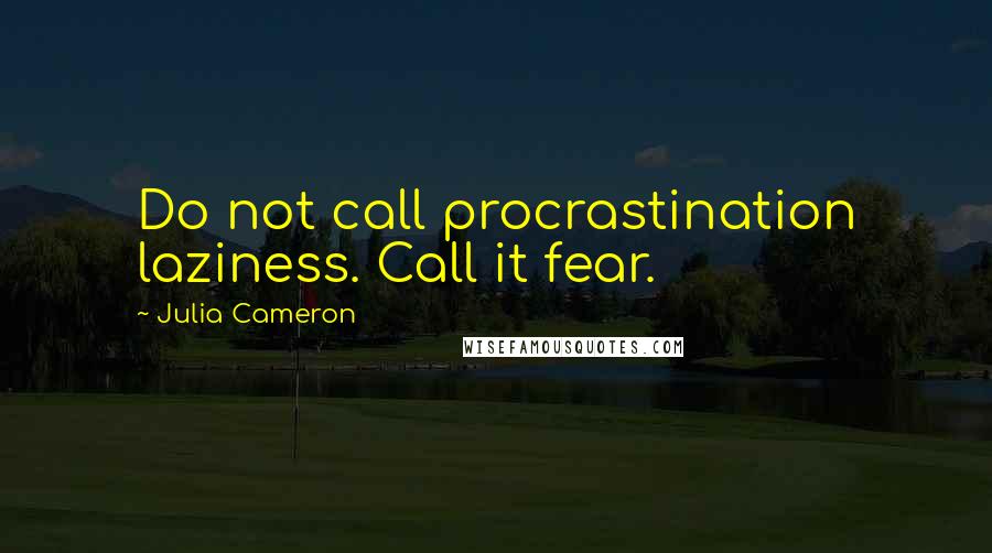 Julia Cameron Quotes: Do not call procrastination laziness. Call it fear.