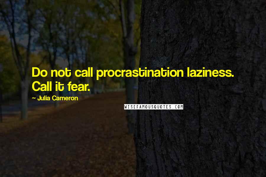 Julia Cameron Quotes: Do not call procrastination laziness. Call it fear.