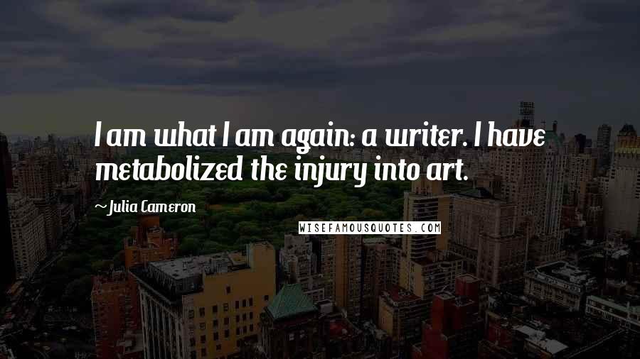 Julia Cameron Quotes: I am what I am again: a writer. I have metabolized the injury into art.