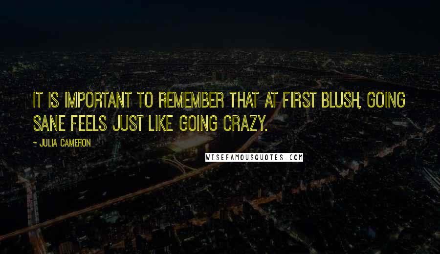 Julia Cameron Quotes: It is important to remember that at first blush, going sane feels just like going crazy.