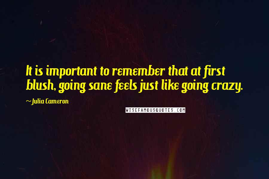 Julia Cameron Quotes: It is important to remember that at first blush, going sane feels just like going crazy.