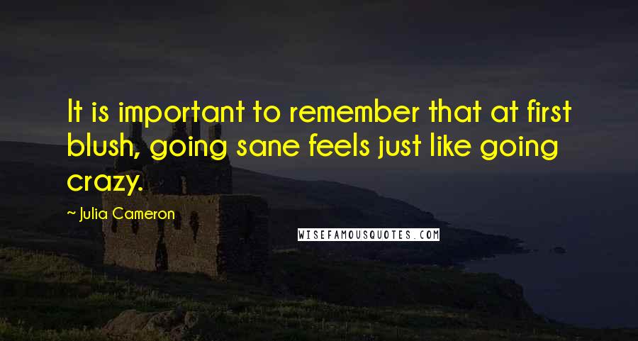 Julia Cameron Quotes: It is important to remember that at first blush, going sane feels just like going crazy.