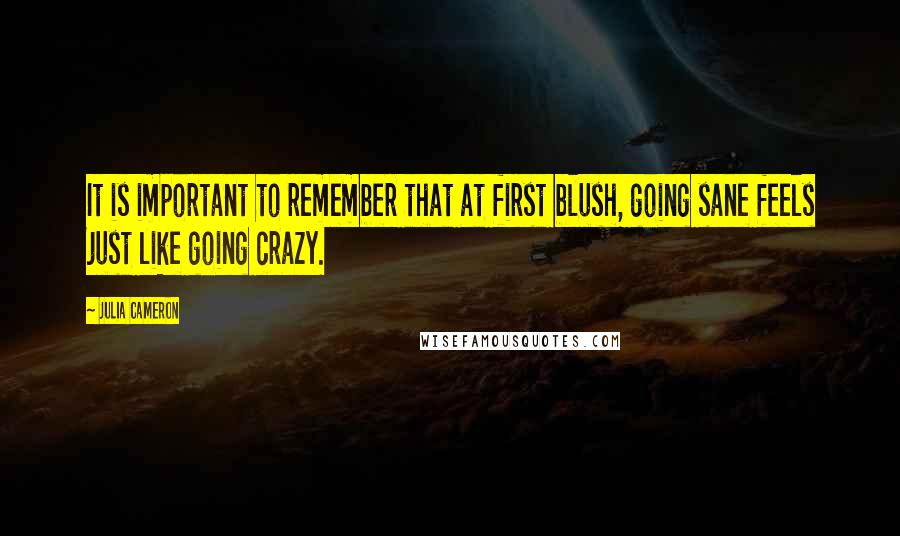 Julia Cameron Quotes: It is important to remember that at first blush, going sane feels just like going crazy.