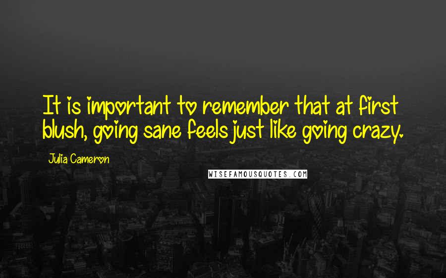 Julia Cameron Quotes: It is important to remember that at first blush, going sane feels just like going crazy.