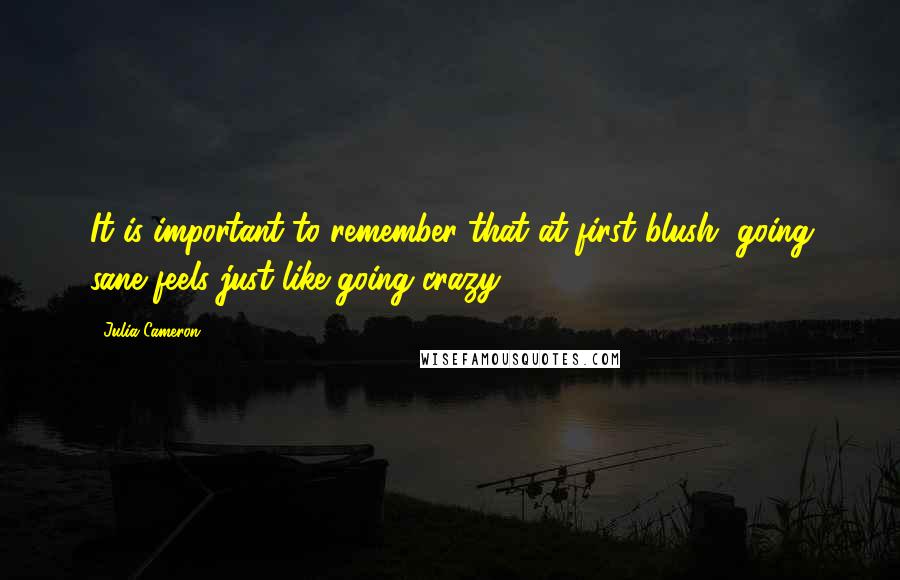 Julia Cameron Quotes: It is important to remember that at first blush, going sane feels just like going crazy.