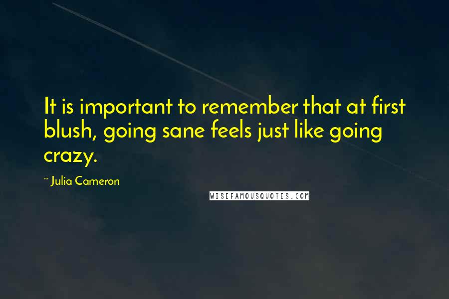 Julia Cameron Quotes: It is important to remember that at first blush, going sane feels just like going crazy.