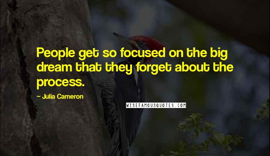 Julia Cameron Quotes: People get so focused on the big dream that they forget about the process.