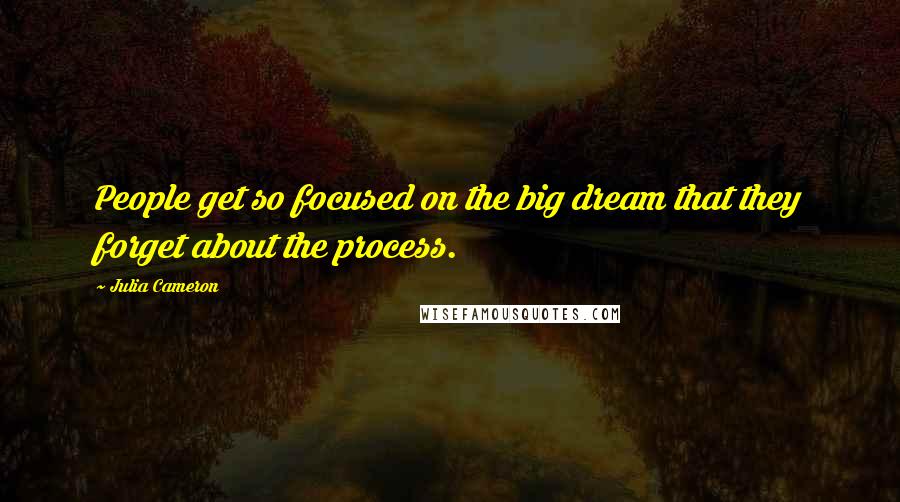 Julia Cameron Quotes: People get so focused on the big dream that they forget about the process.