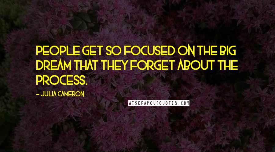 Julia Cameron Quotes: People get so focused on the big dream that they forget about the process.