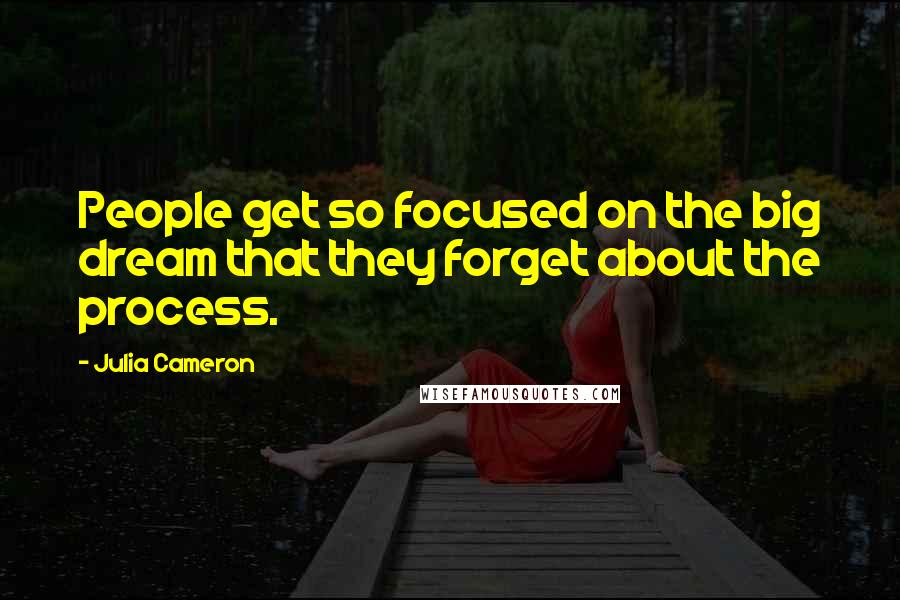 Julia Cameron Quotes: People get so focused on the big dream that they forget about the process.