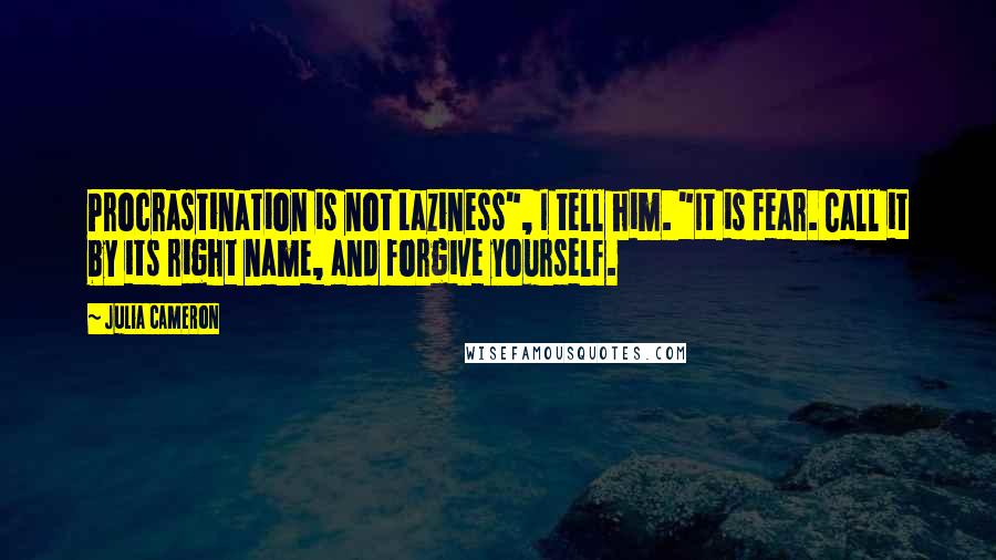 Julia Cameron Quotes: Procrastination is not Laziness", I tell him. "It is fear. Call it by its right name, and forgive yourself.