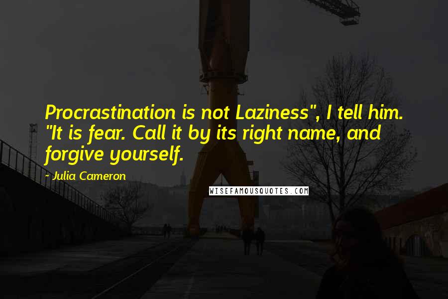 Julia Cameron Quotes: Procrastination is not Laziness", I tell him. "It is fear. Call it by its right name, and forgive yourself.