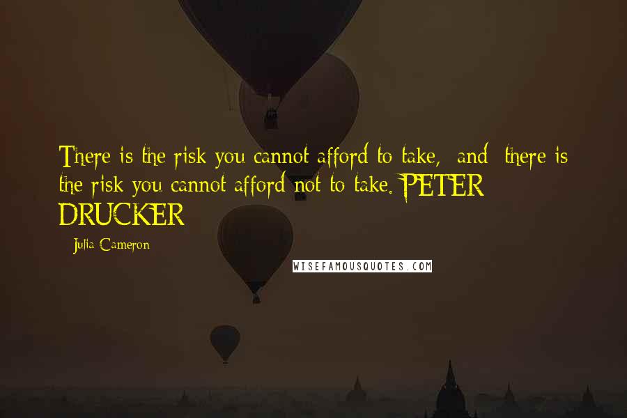 Julia Cameron Quotes: There is the risk you cannot afford to take, [and] there is the risk you cannot afford not to take. PETER DRUCKER