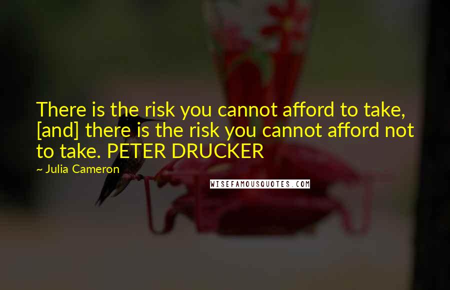 Julia Cameron Quotes: There is the risk you cannot afford to take, [and] there is the risk you cannot afford not to take. PETER DRUCKER