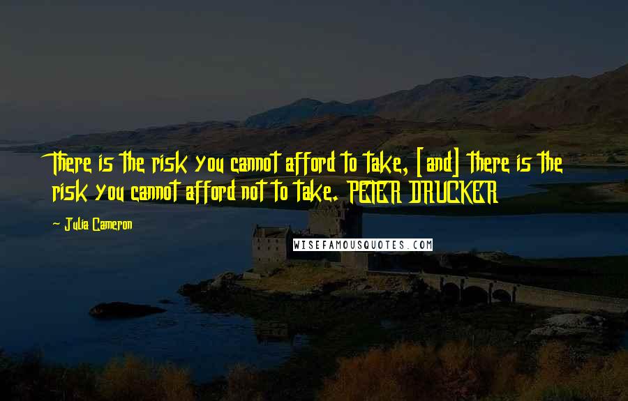 Julia Cameron Quotes: There is the risk you cannot afford to take, [and] there is the risk you cannot afford not to take. PETER DRUCKER