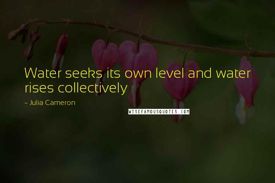 Julia Cameron Quotes: Water seeks its own level and water rises collectively