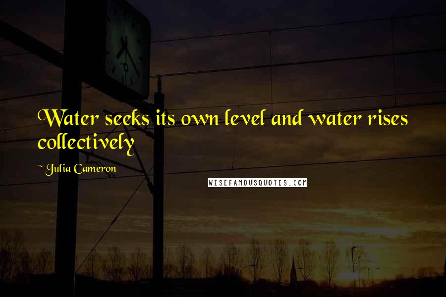 Julia Cameron Quotes: Water seeks its own level and water rises collectively