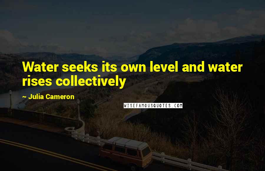 Julia Cameron Quotes: Water seeks its own level and water rises collectively