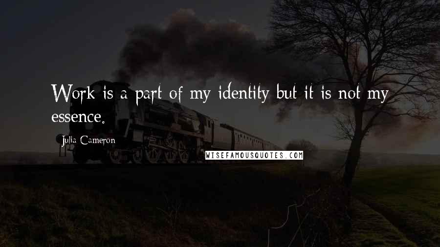 Julia Cameron Quotes: Work is a part of my identity but it is not my essence.