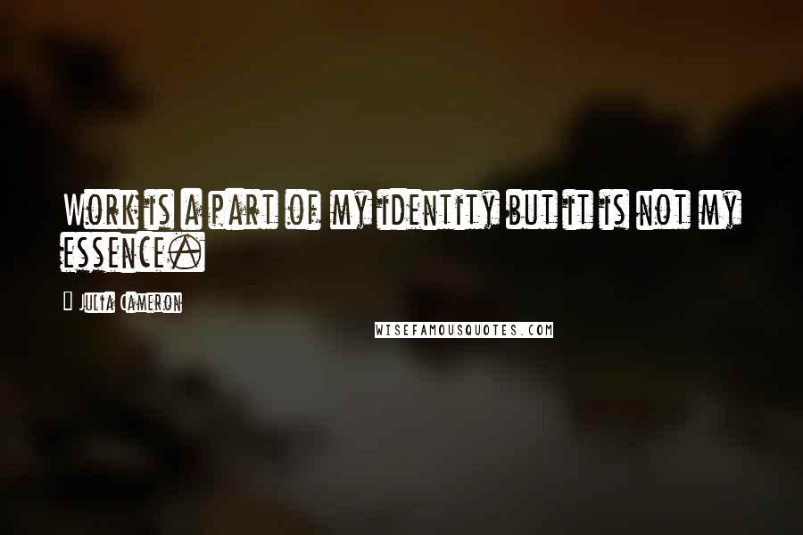 Julia Cameron Quotes: Work is a part of my identity but it is not my essence.