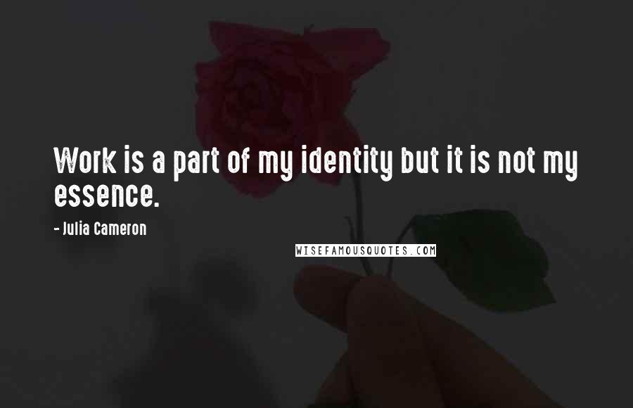 Julia Cameron Quotes: Work is a part of my identity but it is not my essence.