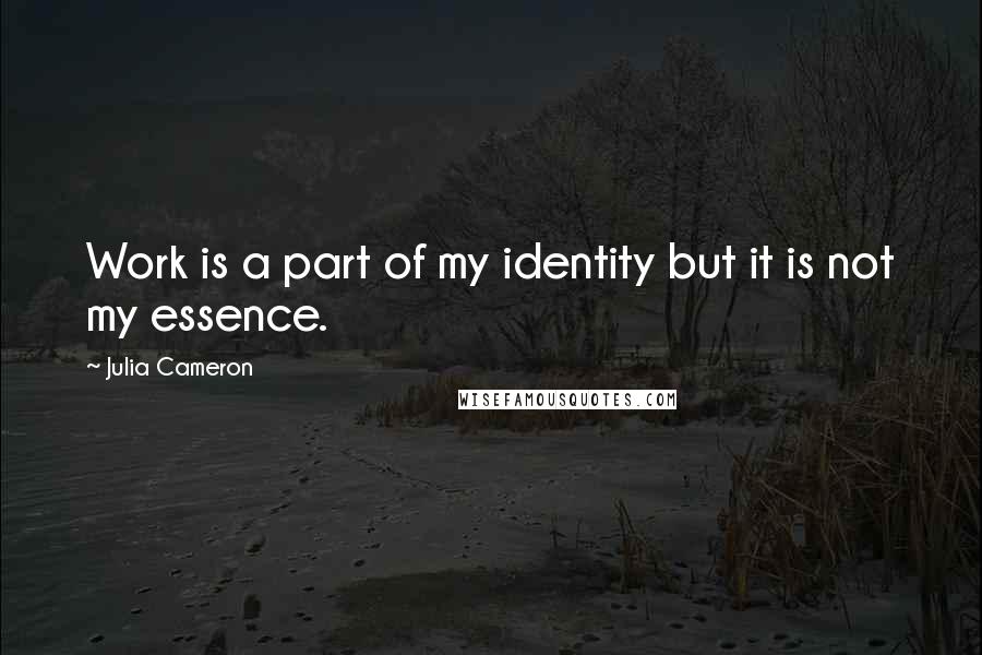 Julia Cameron Quotes: Work is a part of my identity but it is not my essence.