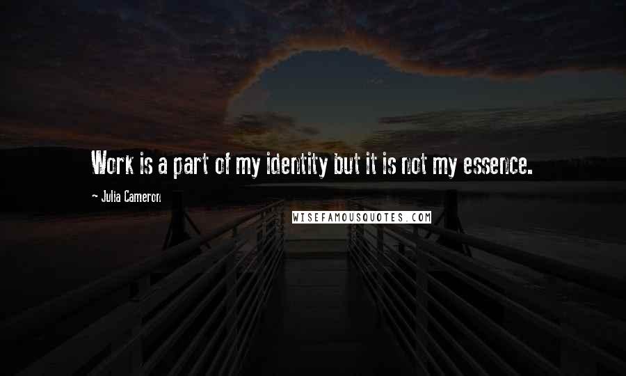 Julia Cameron Quotes: Work is a part of my identity but it is not my essence.