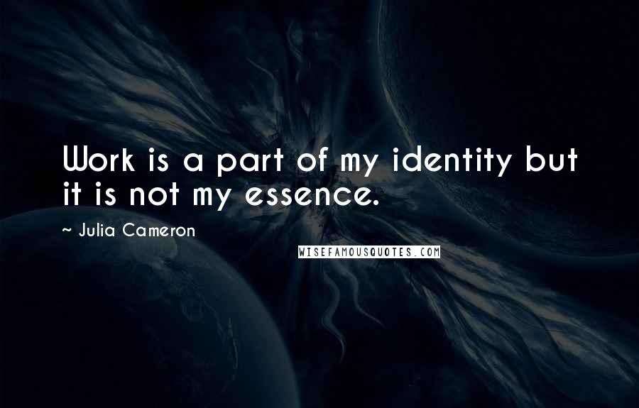 Julia Cameron Quotes: Work is a part of my identity but it is not my essence.