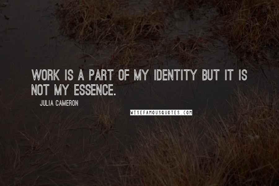 Julia Cameron Quotes: Work is a part of my identity but it is not my essence.