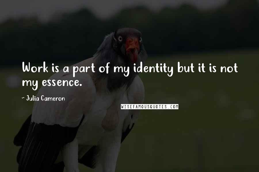 Julia Cameron Quotes: Work is a part of my identity but it is not my essence.