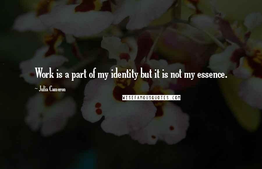 Julia Cameron Quotes: Work is a part of my identity but it is not my essence.