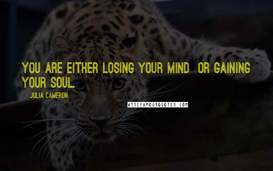 Julia Cameron Quotes: You are either losing your mind  or gaining your soul.