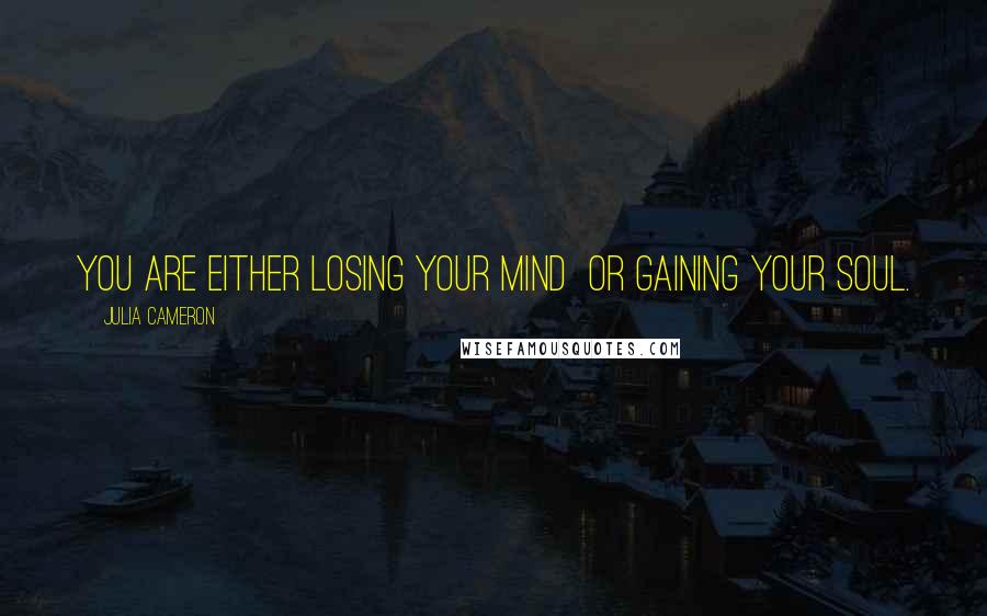 Julia Cameron Quotes: You are either losing your mind  or gaining your soul.