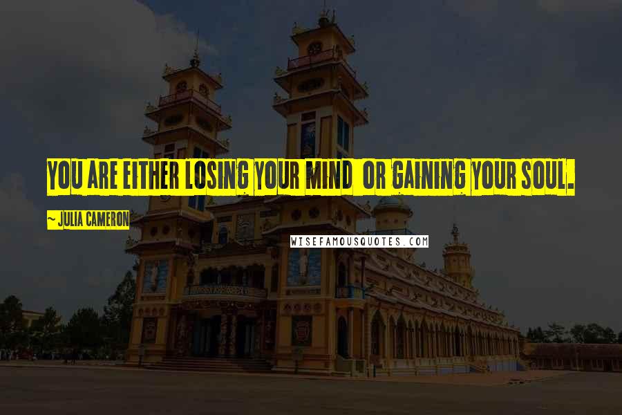 Julia Cameron Quotes: You are either losing your mind  or gaining your soul.