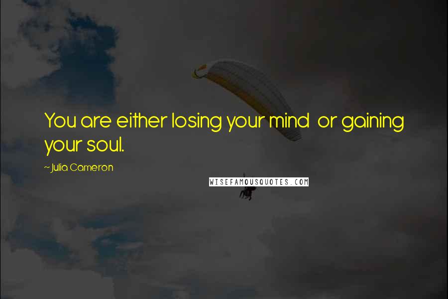 Julia Cameron Quotes: You are either losing your mind  or gaining your soul.