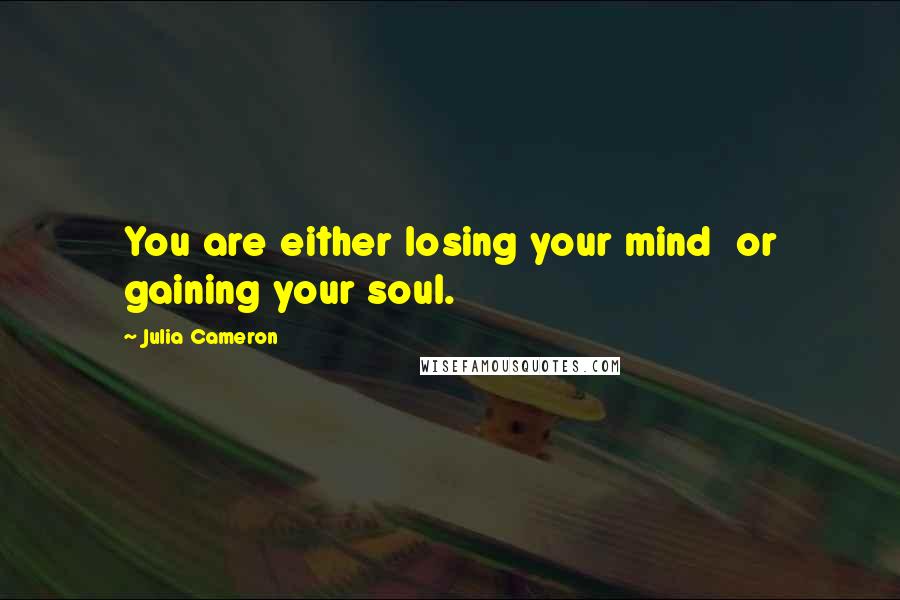 Julia Cameron Quotes: You are either losing your mind  or gaining your soul.