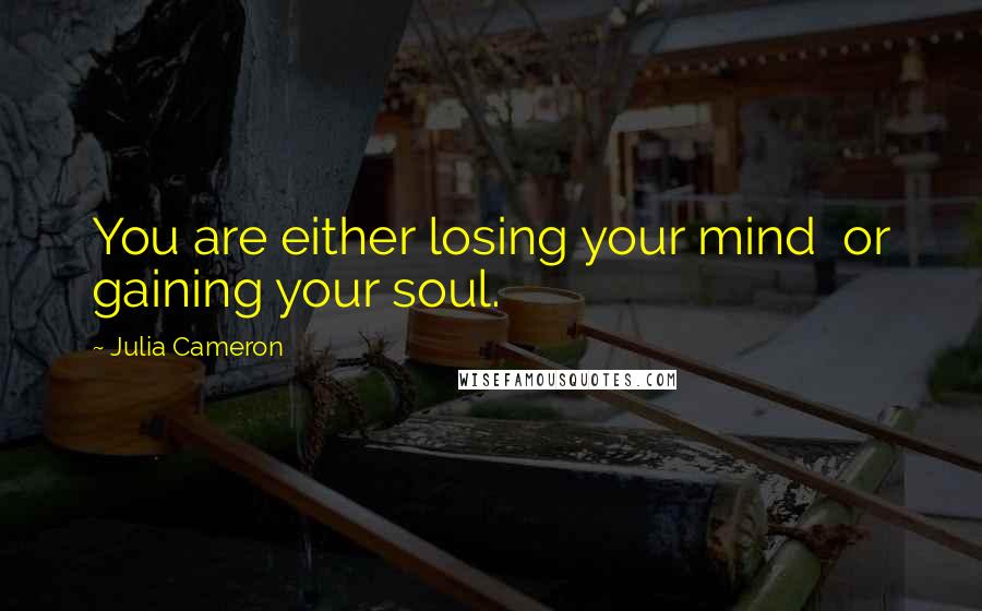 Julia Cameron Quotes: You are either losing your mind  or gaining your soul.