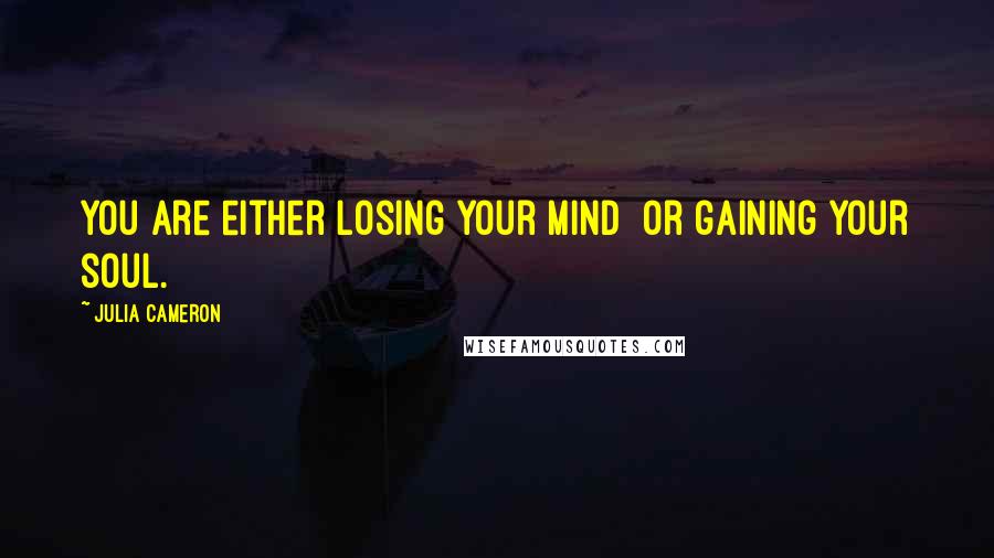 Julia Cameron Quotes: You are either losing your mind  or gaining your soul.