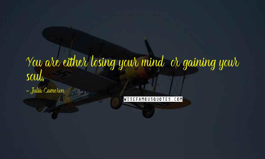 Julia Cameron Quotes: You are either losing your mind  or gaining your soul.